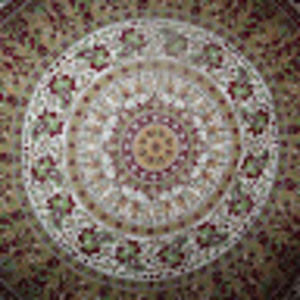 Meet your Posher, Sean